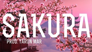 PNL X FUTURE X CHINESE TYPE BEAT | “ SAKURA “ | NEW TRAP BEAT 2020 (Prod. TARON MAR)