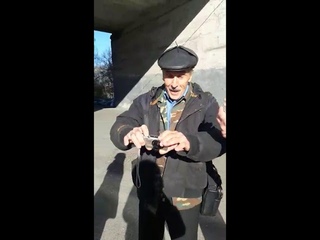 Новокузнецкий пенсионер защищал котов с пистолетом в руках