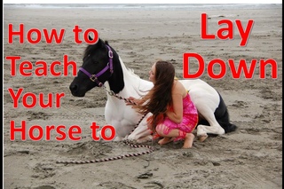 How to Teach Your Horse to Lay Down [WITHOUT ROPES]