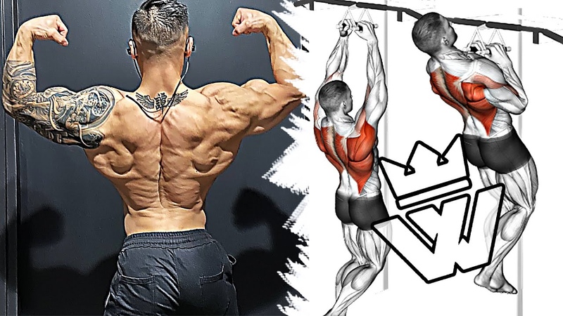 The BEST Exercises for WIDE