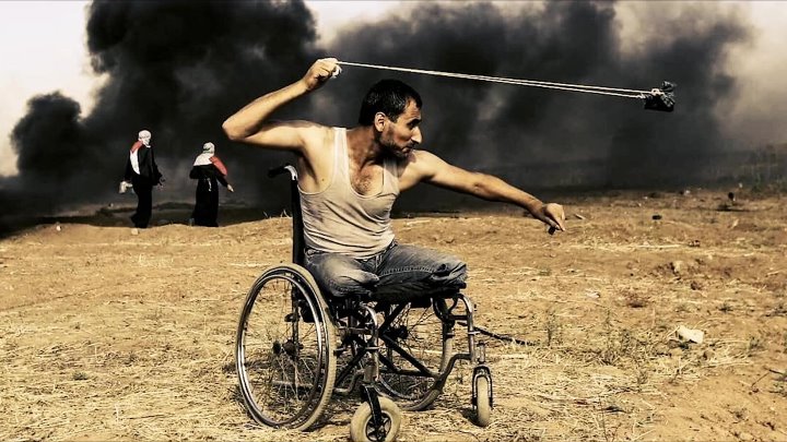 Le char et lolivier, une autre histoire de la Palestine