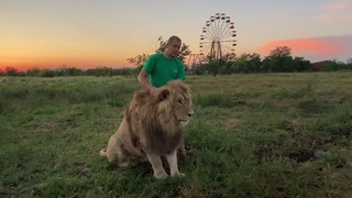 И снова ЛЬВЫ ВСТРЕЧАЮТ ГОСТЕЙ-сотрудников зоопарка!