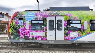 S-Bahn Werbezug  “Sterzing“ in Otterfing