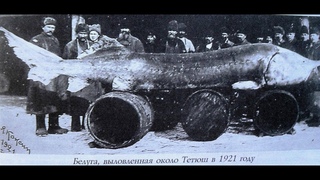 Старинные фотографии 19 20 век Застывшее прошлое