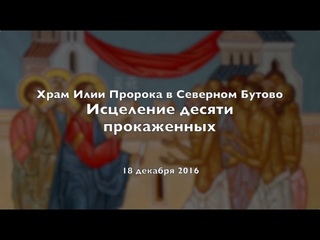Исцеление 10 прокаженных - иер. Илия Власов, 18 дек. 2016