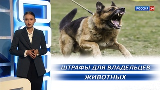 (380) Вести. Право () (ГТРК Вятка) - YouTube