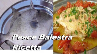 Pesce Porco o Balestra Рыба Серый Спинорог как Почистить и Готовить