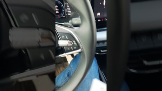 Skoda: Бензин Присадки А-ля У-лю  (2023)