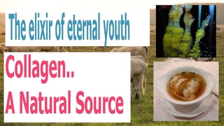 How to Prepare Natural Collagen at Home. The Elixir of Permanent Youth and the conqueror of diseases