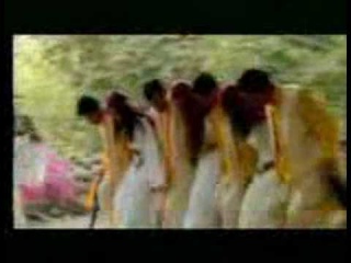kurdish music, Halparke shwan qaradaxi