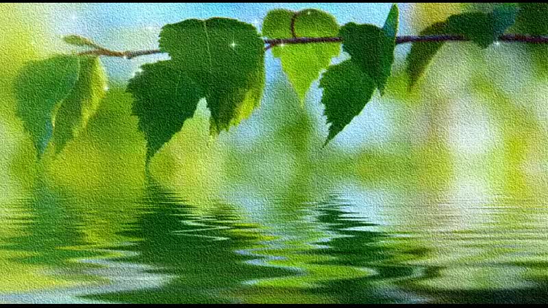 Видео от Просто