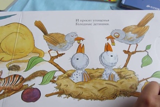 Топ книг о живой природе.