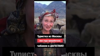 Туристка из Москвы пол года проработала чабаном в Дагестане! #дагестан #чабан #кавказ #горызовут