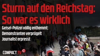 Sturm auf den Reichstag: So war es wirklich