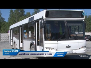 Автобусы возвращаются в город