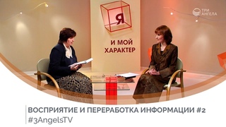 Восприятие и переработка информации (Часть 2) | Я и мой характер