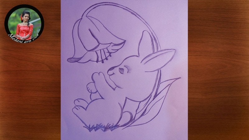 Simple and easy pencil drawing of bunny with flower pencildrawing, , rabbit