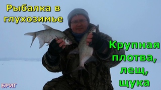 Рыбалка в глухозимье . Крупная плотва, лещ, щука . НОВИНКА 2022