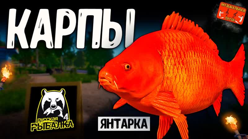 РР4, рыбалка для души, ловим как универсал,