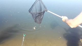 Варнавинское водохранилище, рыбалка  г.