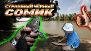 Рыбалка на Кубани. Сомовье место!!!