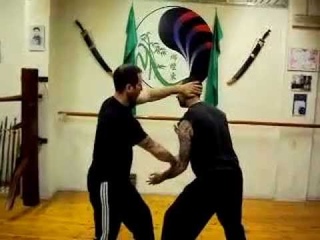 CHOW GAR MANTIS ITALIAN ACADEMY - Yin Yang Concetti