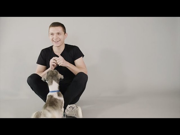 Tom Holland Meets Battersea