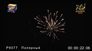 Р9077 Полярный