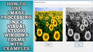 c# image processing | How to use Image Processing in C# Visual Studio | Image processing c#