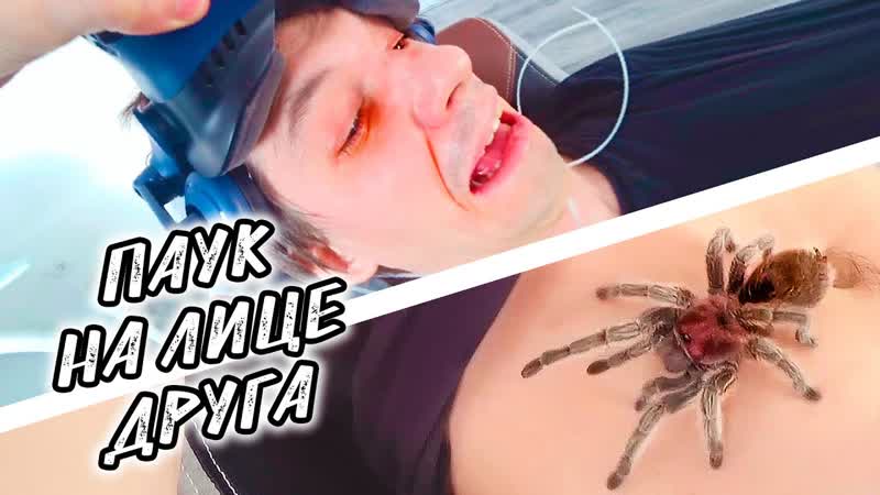 ПАУК НА ЛИЦО, ПРАНК НАД ДРУГОМ,