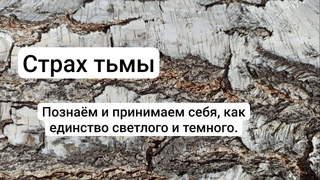 Страх тьмы. Познаём и принимаем себя, как единство светлого и темного Shaman-ray медитация