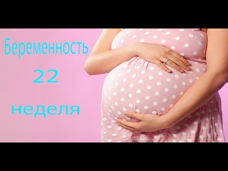 22 НЕДЕЛЯ БЕРЕМЕННОСТИ