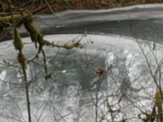 Ice