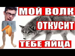 ЗЛОЙ ВОЛК ПО СЛЕДУ ЛОХОБРОКЕРА мошенники звонят по телефону