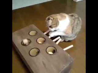 Поймай свою скидку)))