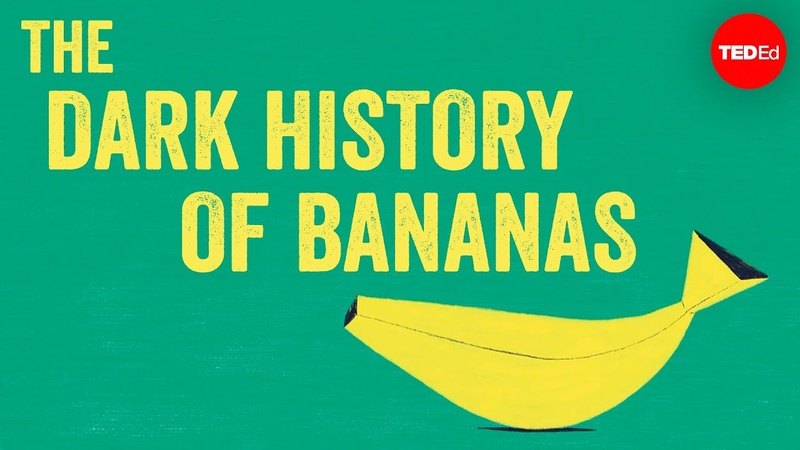 The dark history of bananas John