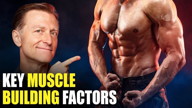 The MOST Important Factors in Building Muscle Beyond Dietary