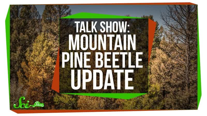 Mountain Pine Beetle Update: Sci Show Talk
