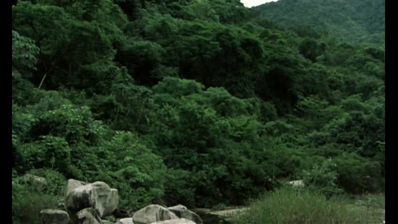 НАЕМНИК 2 : ТОЛСТЫЙ И ТОНКИЙ. , Mercenary II: Thick Thin.