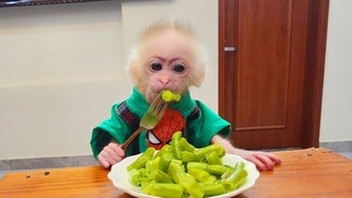 Bibu happily enjoyed the boiled beans!