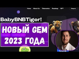 BABY BNB TIGER НОВЫЙ GEM / X10 НА ТИГРАХ