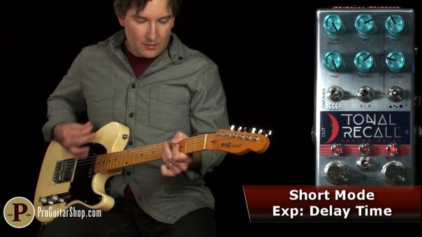 Chase Bliss Tonal Recall Analog