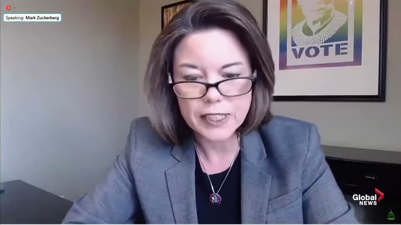 Rep. Angie Craig ( D MN) questions Mark