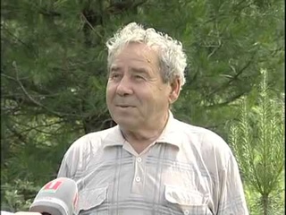 В Гомельской области вырастили сибирские кедры.