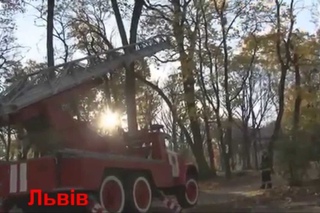 як рятують тварин в Україні та Росії ))