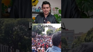 Despertaron al TIGRE; ahora ELECTRICISTAS van vs el PODER JUDICIAL