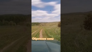 Как стать хладнокровным и сильным... #психология #дорога #кунгур #мотивация