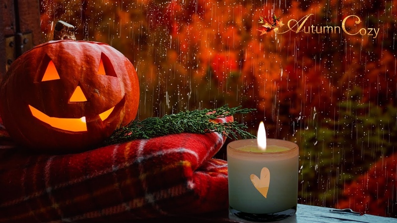 AUTUMN RAIN ON WINDOW AMBIENCE: Woodwick Candle, Rain, Scribbles, Tea Pouring,