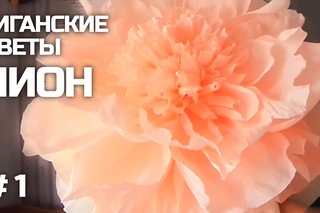 ГИГАНТСКИЕ ростовые цветы. Пион (часть I)