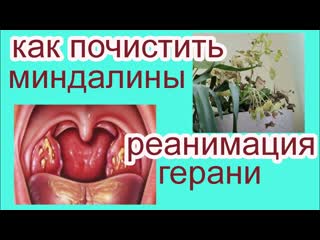 Монтирую сразу в телефоне. Больная спина - путь к здоровой ж@пе